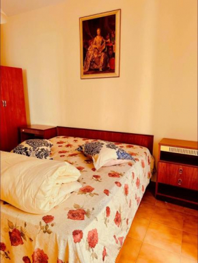 Casa David